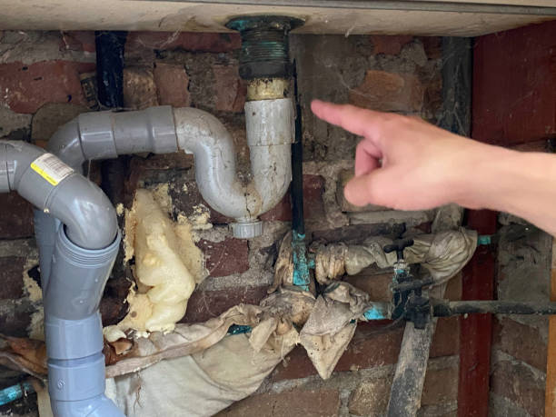  Kenai, AK Water damage restoration Pros