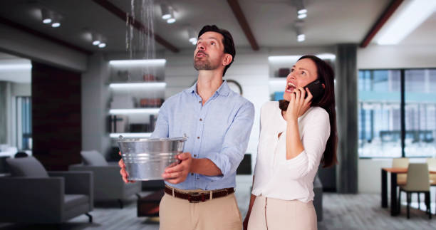 Best Water damage cleanup near me  in Kenai, AK